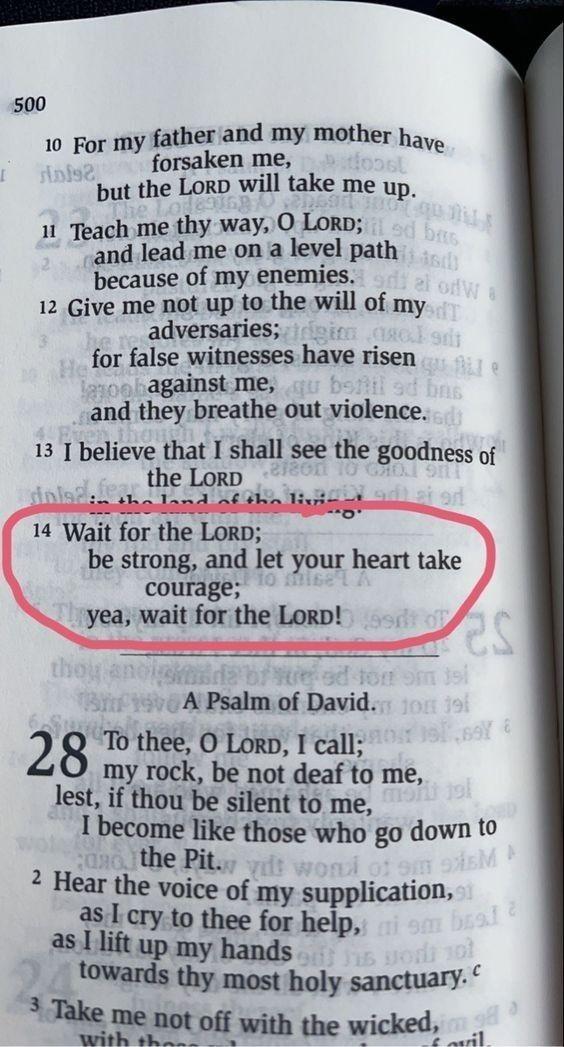 Bible365_'s tweet photo. Psalm 27:14 https://t.co/Hd0o4hT7TA