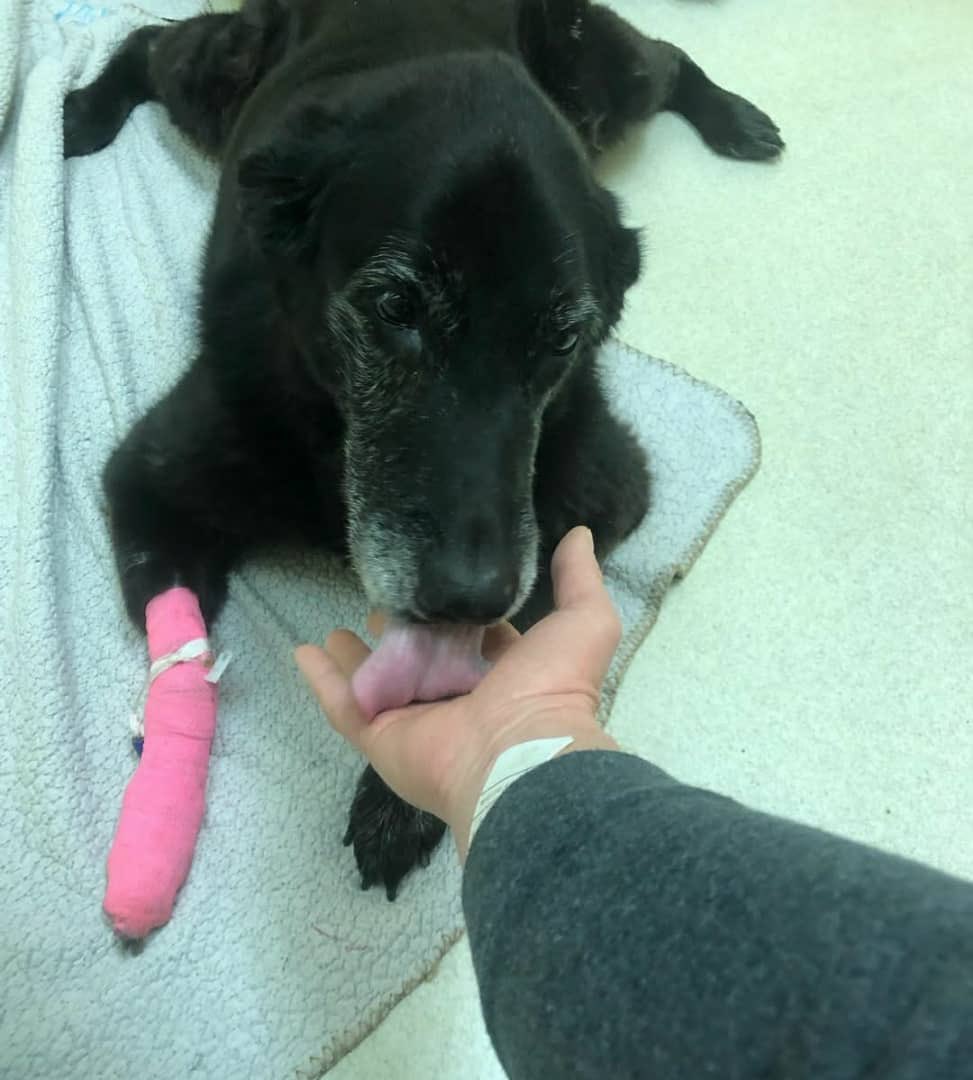 Mark Glancy tweet media