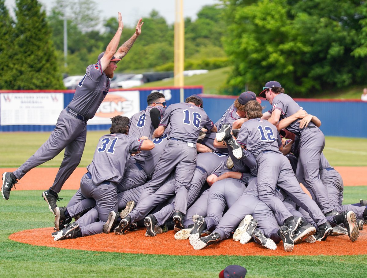 Dogpile season!