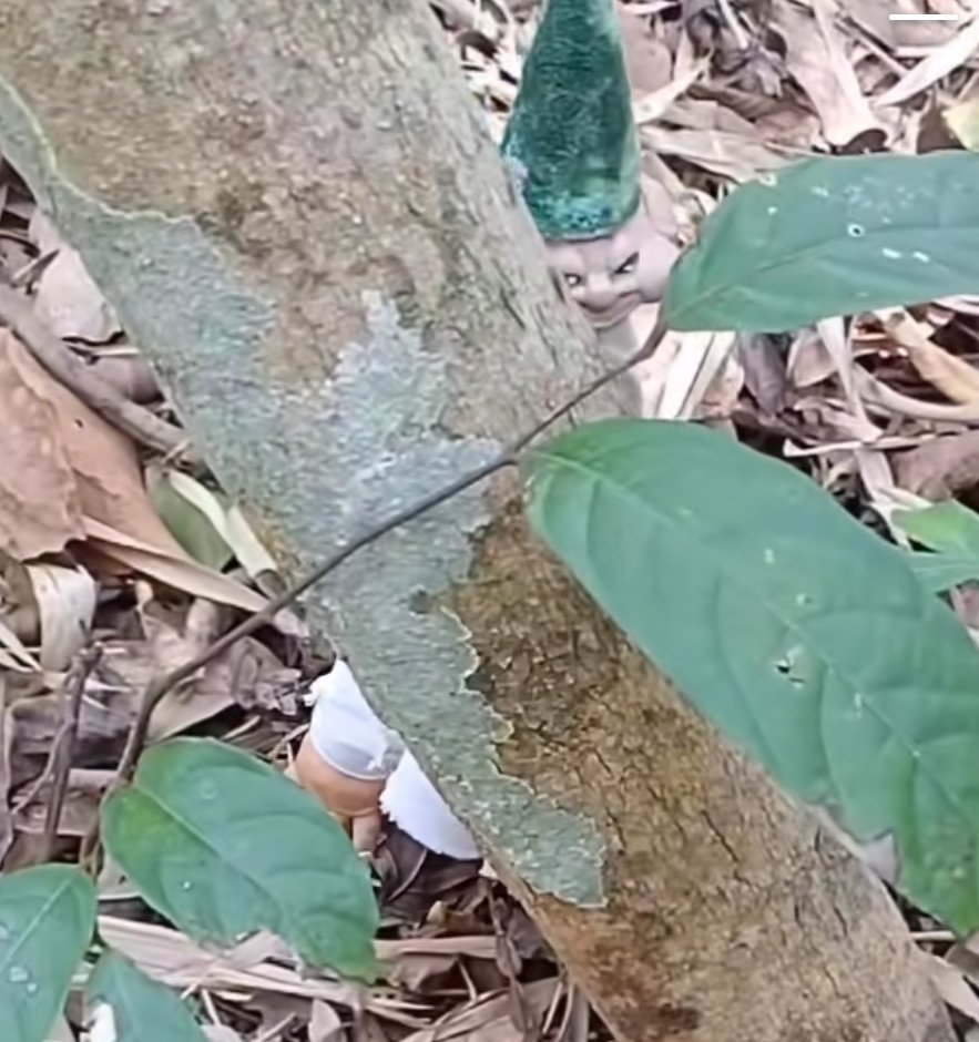 Bronx (@bronxyv) on Twitter photo 