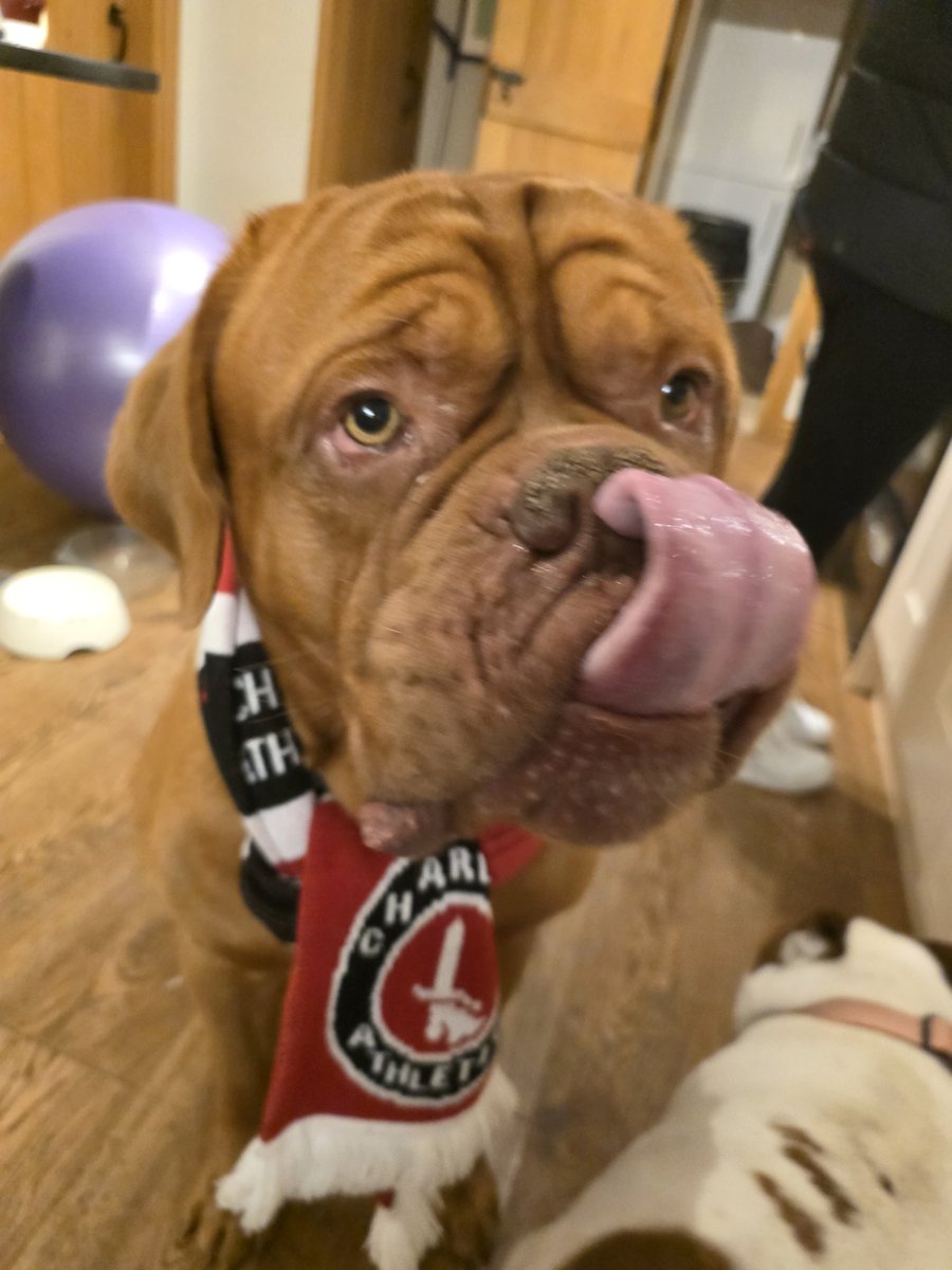 Dave poking fun at the Wycombe fans... cold #CAFC