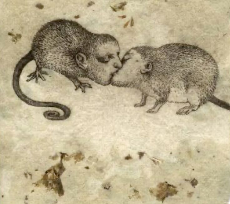 imaginai que somos dois ratinhos deixando o Oriente rumo à Europa, levando a peste negra que há de ceifar metade dos europeus. Eis que o navio chacoalha e, por desatino, nossos focinhos se tocam num beijo inesperado