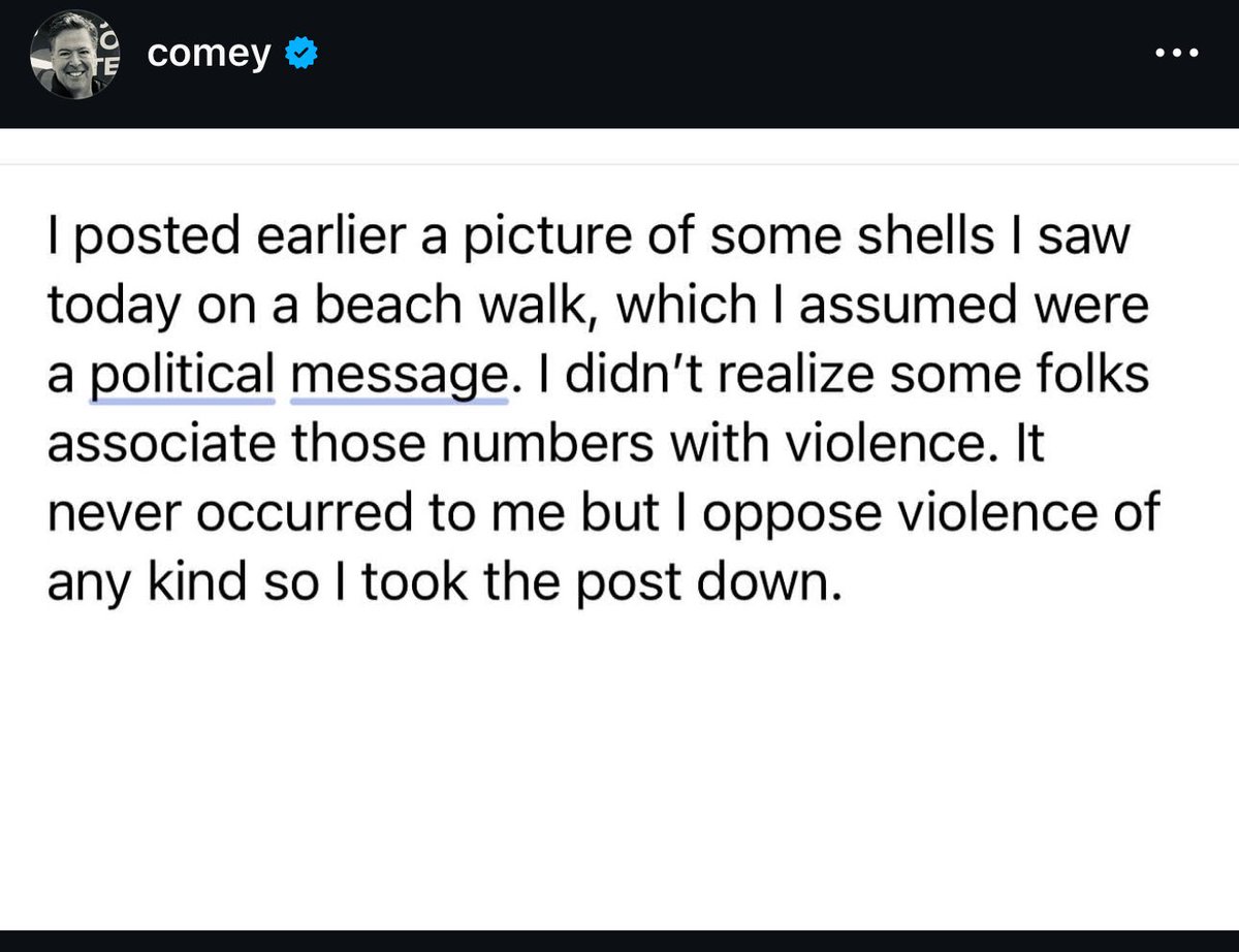 MAGA Voice tweet media