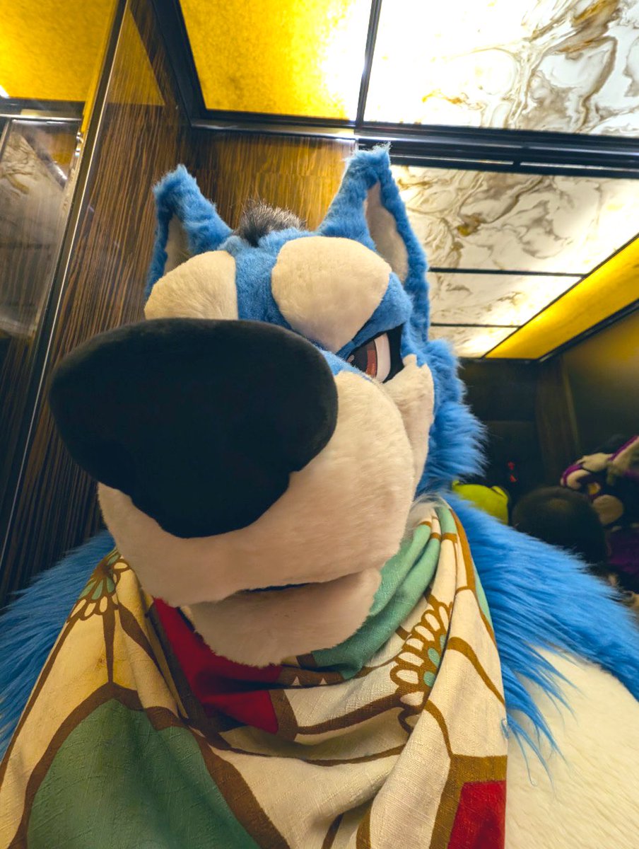 #FursuitsFriday