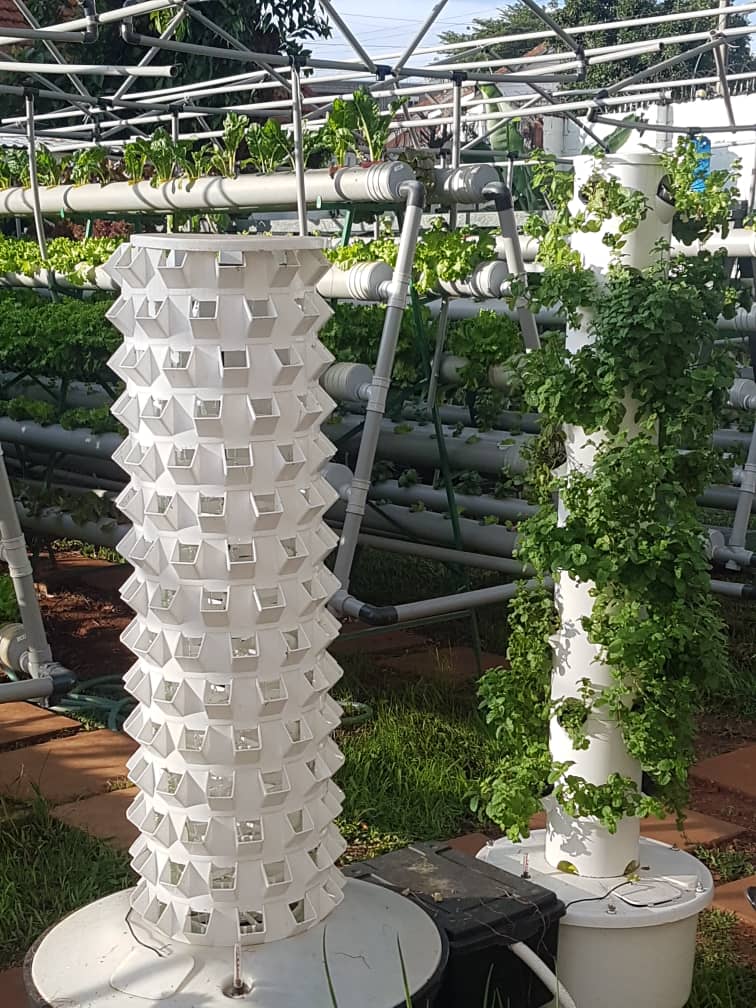 IsabiryeJa7171's tweet image. Why you can't Miss This!
back to back shows at Jinja Nile showground:
31st National Agricultural Show (June 27th-July 5th )
4th Agricultural Education show (July 6-12)
Meet exhibitors. Learn. Innovation. Network.
#UNAFE#AgrishowUG#FarmingFuture