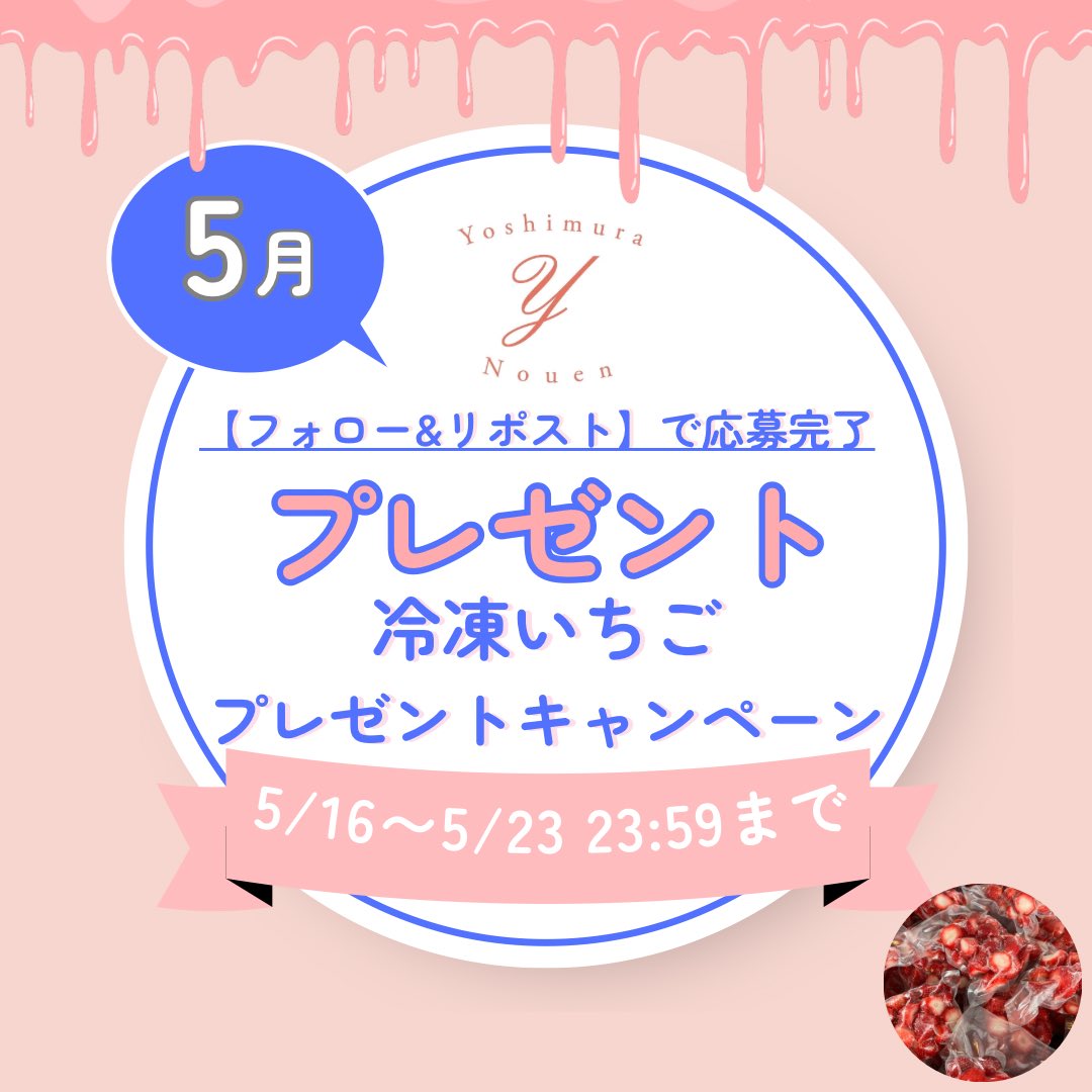 yoshimuranouen's tweet photo. 🍓吉村農園 プレゼント企画🍓

急速冷凍で凍らせたいちご2パック入り1箱を2名様にプレゼント🎁

冷凍いちごを是非この機会にご賞味下さいね😄♩

応募方法はアカウントの【フォロー】&【リポスト】のみ！
@yoshimuranouen

期間は5月16日（金）〜5月23日（金）の23時59分まで
ご応募お待ちしております😋
#プレゼント企画