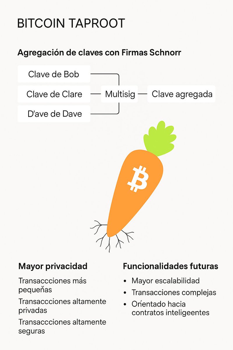 ¿Has oído hablar de Taproot? Es una mejora clave de Bitcoin activada en 2021 que lo hace más privado, barato y poderoso.

Vamos a desglosarlo de forma sencilla para entender por qué importa. Dentro Hilo! 🧵👇