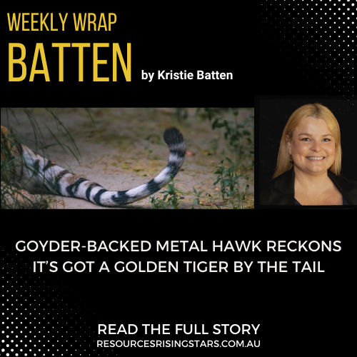 Anticipation is building for the first ever drilling at Metal Hawk’s Leinster South gold project in Western Australia. Read the latest column by mining journalist Kristie Batten here: ow.ly/j5wY50VTAfz

#KristieBatten #ASX #Drilling #gold #Weeklywrap #WA @KristieBatten