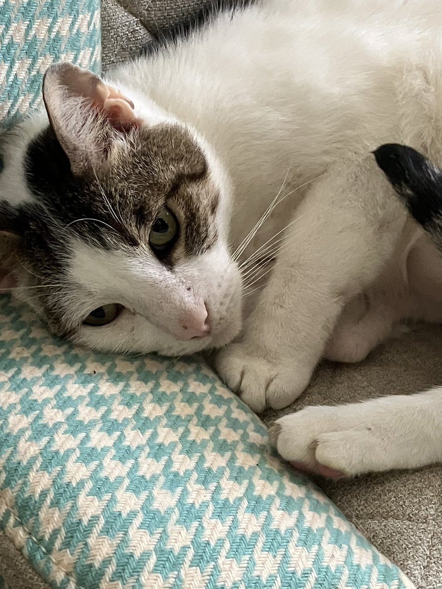 Martie A tweet media