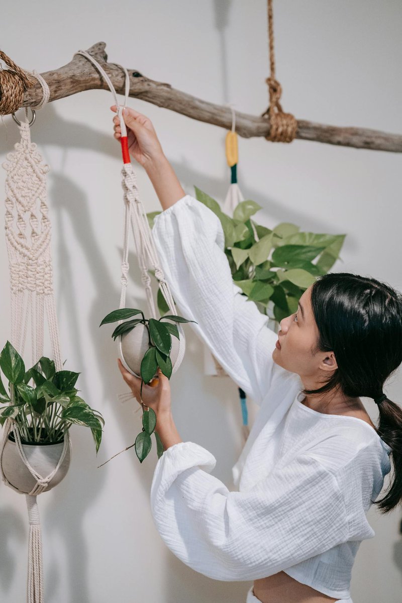 urbanstorage's tweet photo. Starting or growing your side hustle this summer? 🎨 Give yourself the room to grow by renting a self storage unit! 

Learn more about the advantages of self storage for your business at https://t.co/3PSH64qT1M! 📊

#UrbanStorage #SelfStorageforBusiness #SelfStorage #Storage https://t.co/dPwdbJiaMt