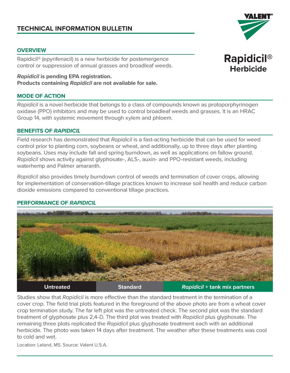 precisionweeds's tweet photo. @knowURweeds Rapidicil is an experimental herbicide pending EPA registration. https://t.co/iooBhcBd7i