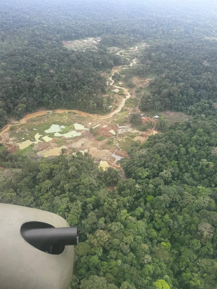 Cuando la minería ilegal opera a gran escala, no es por casualidad ni invisibilidad. Es por complicidad.
Alguien se beneficia por hacerse el ciego