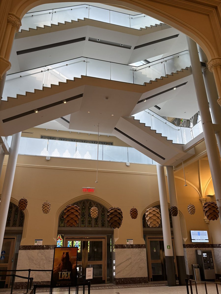 Andrea Cerutti tweet media