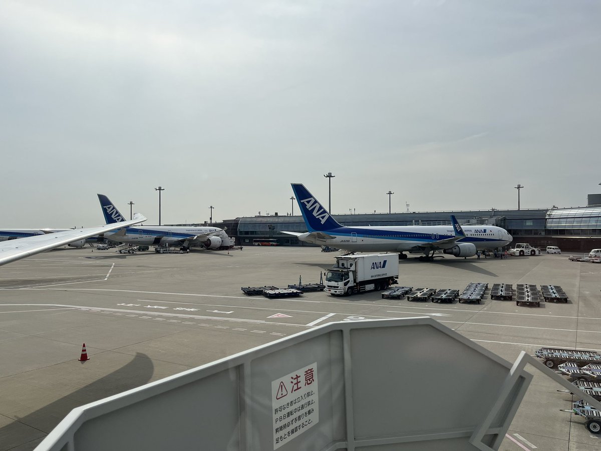 sajihiko's tweet photo. 2025/05/16 08:30ANA243便47A B787にて羽田空港から福岡空港に向かいます✈️
1月以来のフライト♪ https://t.co/71zL17dSNC