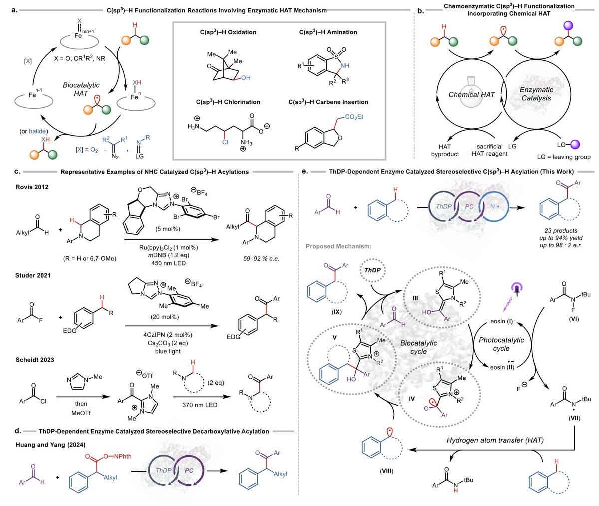 EnzymeChemistry's tweet image. #Photobiocatalytic Enantioselective Benzylic C(sp3)–H Acylation by Yen-Chu Lu, Ronald Adukure, Satyajit Roy, Derek Chien, Matthew McGill, Sarthi Polara, Andrés Cisneros, Karl Scheidt, Rudi @FasanLab at @UTChemistry in @J_A_C_S pubs.acs.org/doi/10.1021/ja…