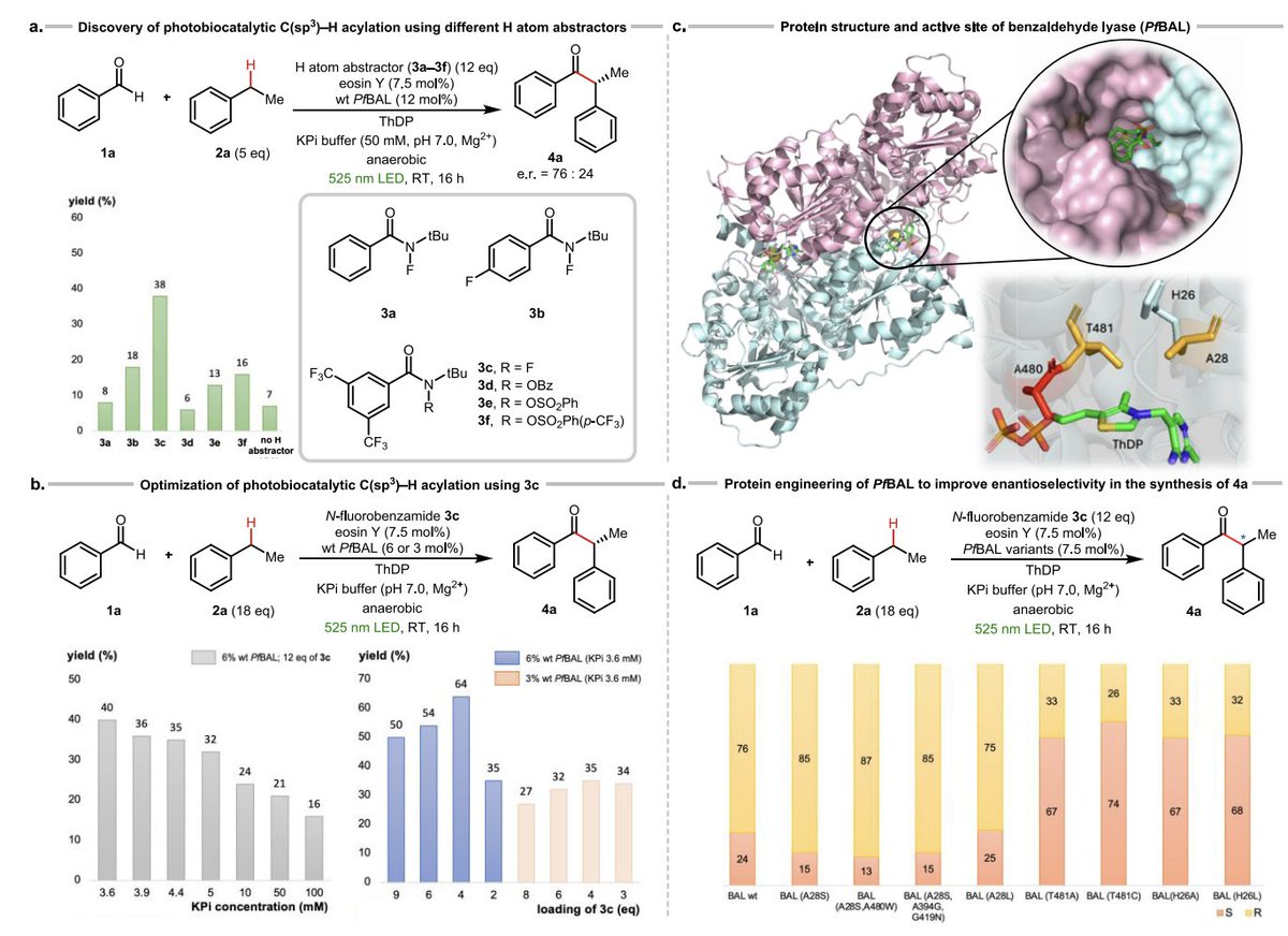 EnzymeChemistry's tweet image. #Photobiocatalytic Enantioselective Benzylic C(sp3)–H Acylation by Yen-Chu Lu, Ronald Adukure, Satyajit Roy, Derek Chien, Matthew McGill, Sarthi Polara, Andrés Cisneros, Karl Scheidt, Rudi @FasanLab at @UTChemistry in @J_A_C_S pubs.acs.org/doi/10.1021/ja…