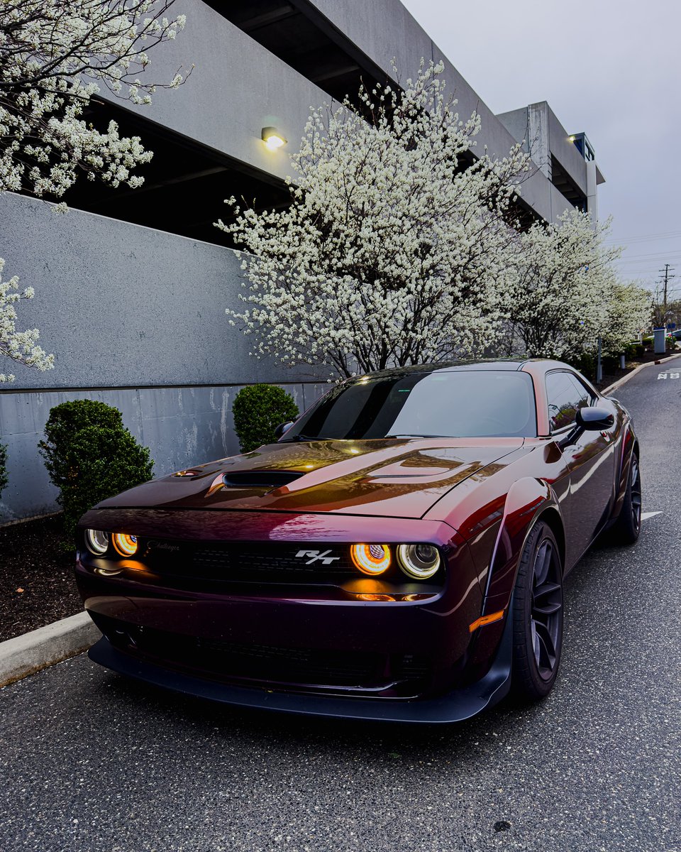 MoparChakmol's tweet image. RT