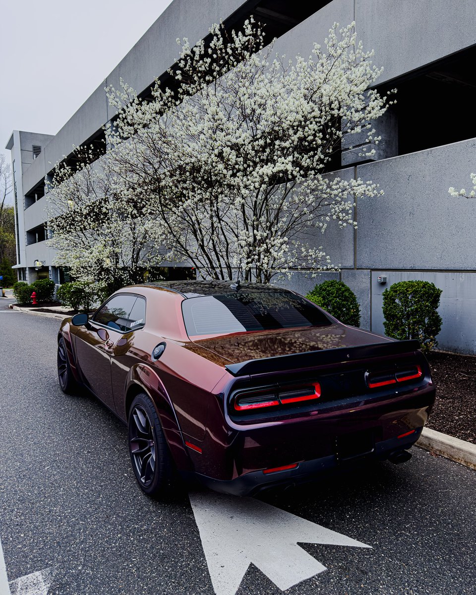 MoparChakmol's tweet image. 