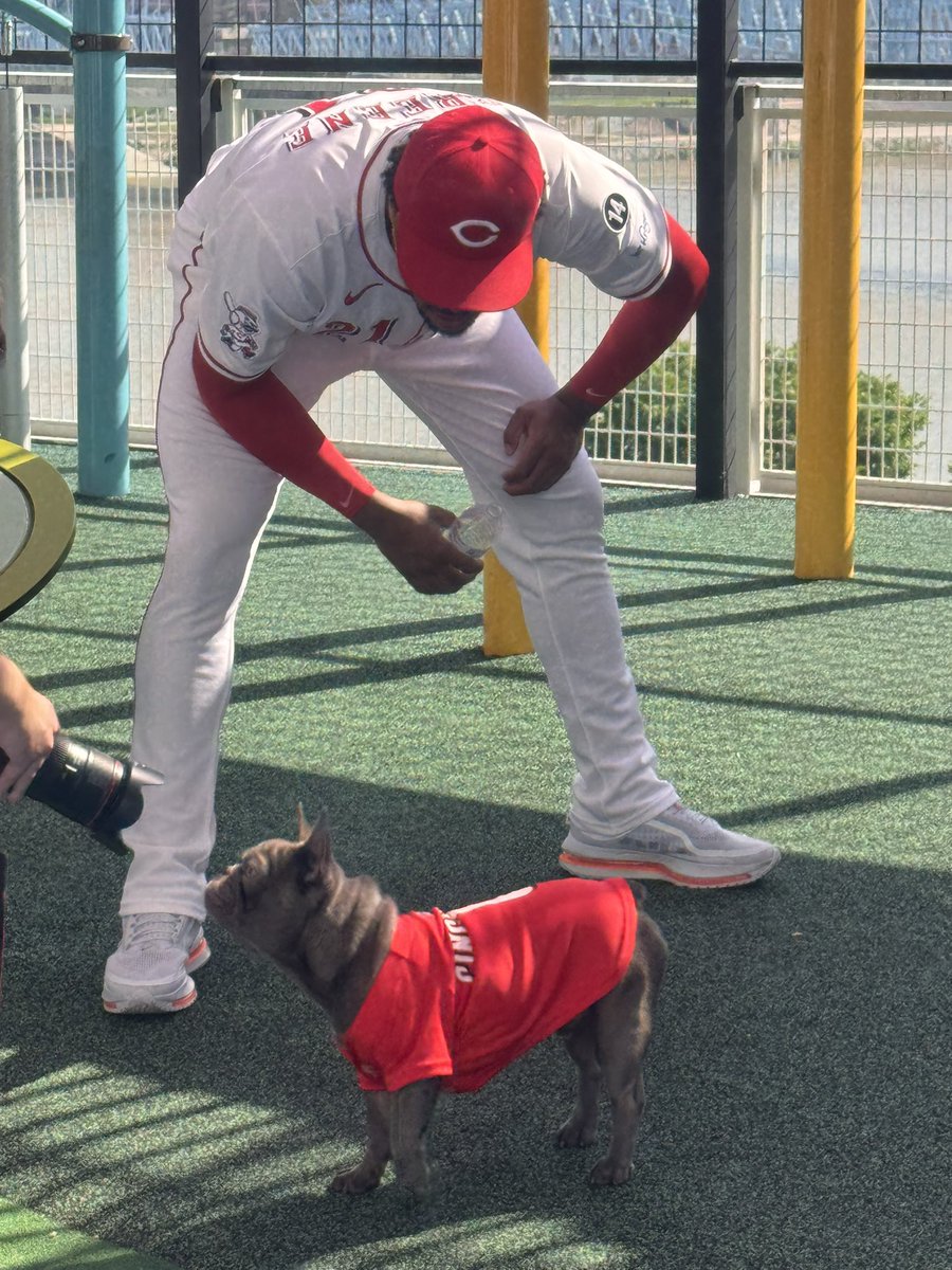 HunterGreene17's tweet photo. Ross's Agent @AmberSabathia @CAA_Baseball 
is better than yours💵

Ross' 1st photo shoot 🎥🎬💰Good boy Ross ❤️ https://t.co/dayLabL1BO