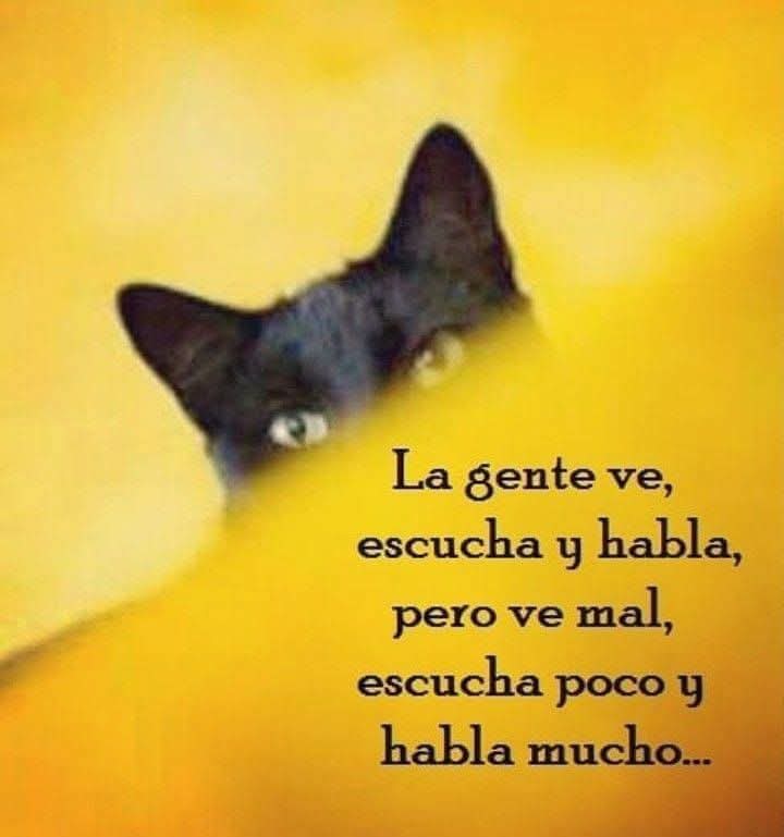 FelixAlbertoVa8's tweet photo. https://t.co/dvWCXf2XaE