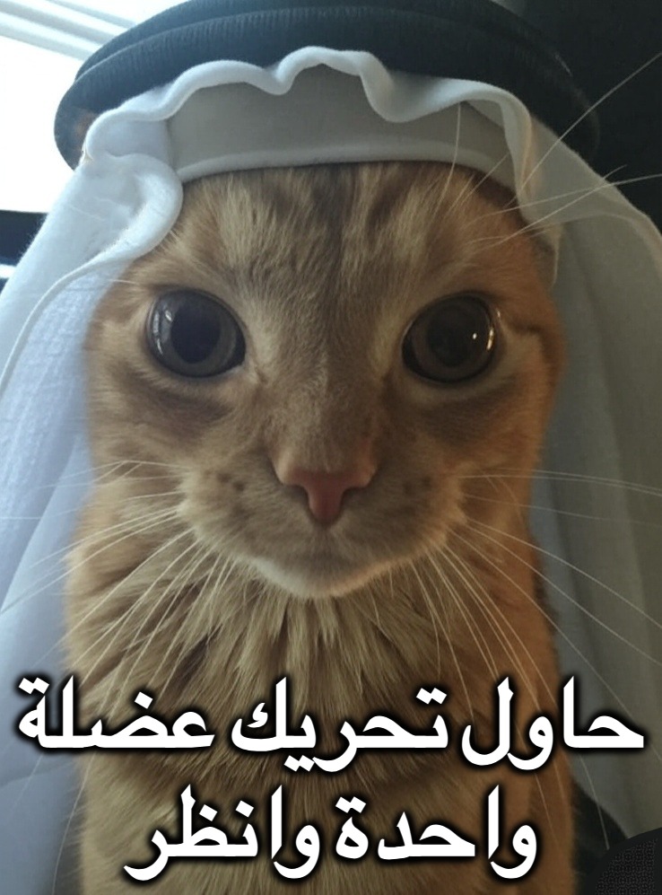 اليوم 33 من نشر gakster حتى يصل $gak إلى 100M$ mc