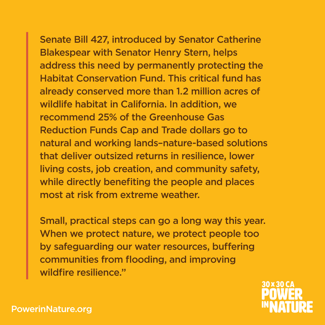 Power in Nature tweet media