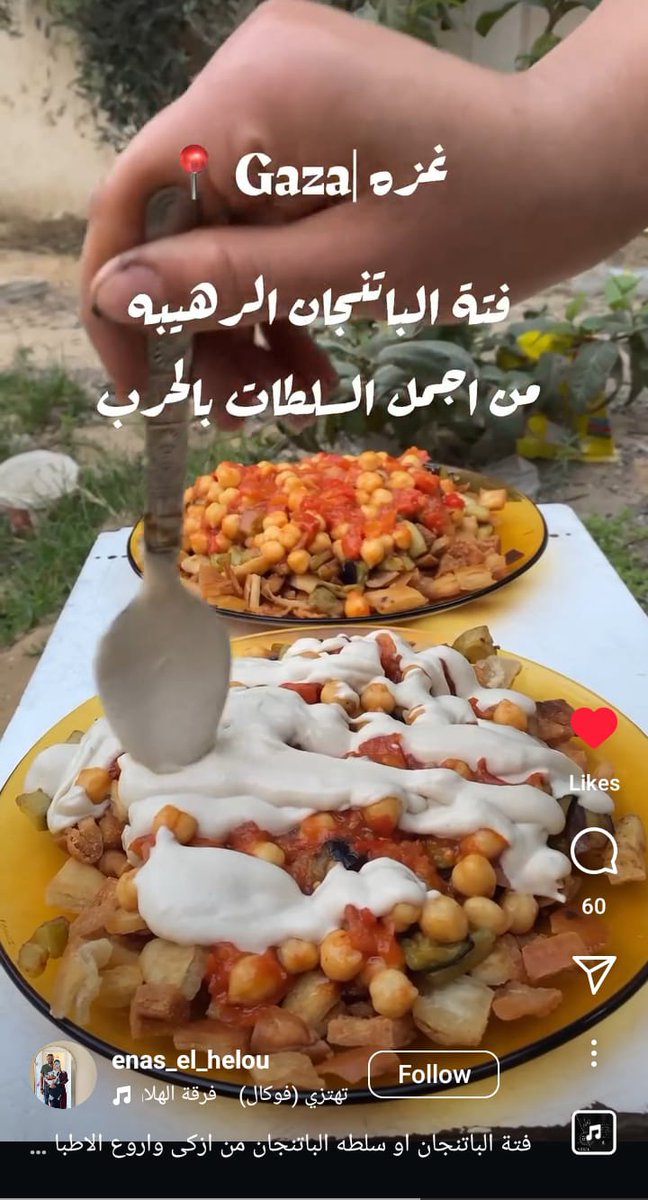 Noha Atef tweet media