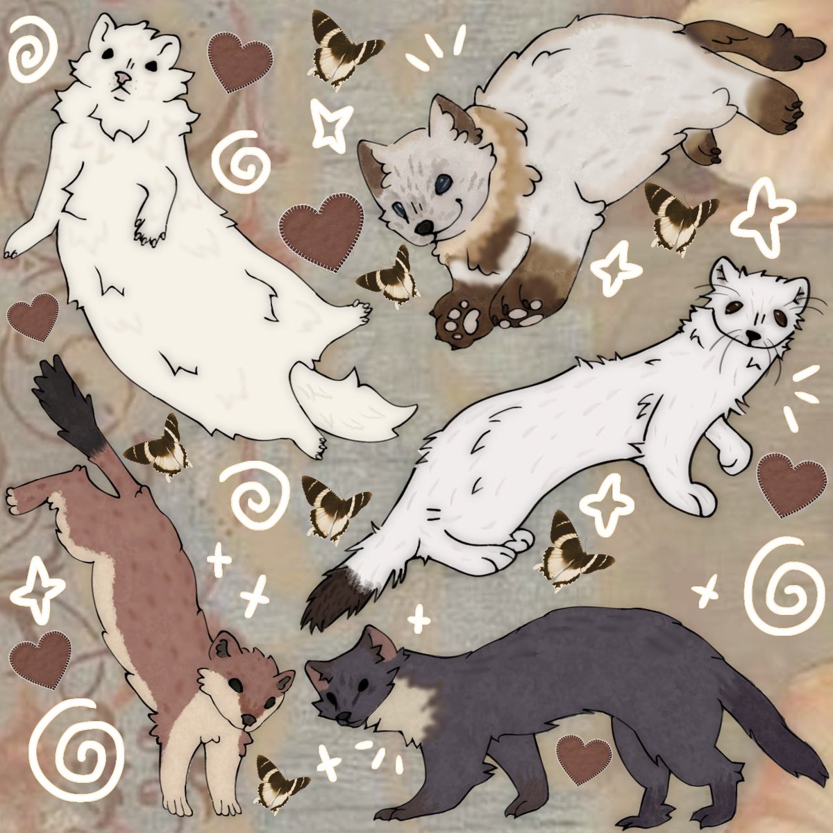 chapelsent's tweet photo. MUSTELIDS! https://t.co/RQ93ZSFLIf