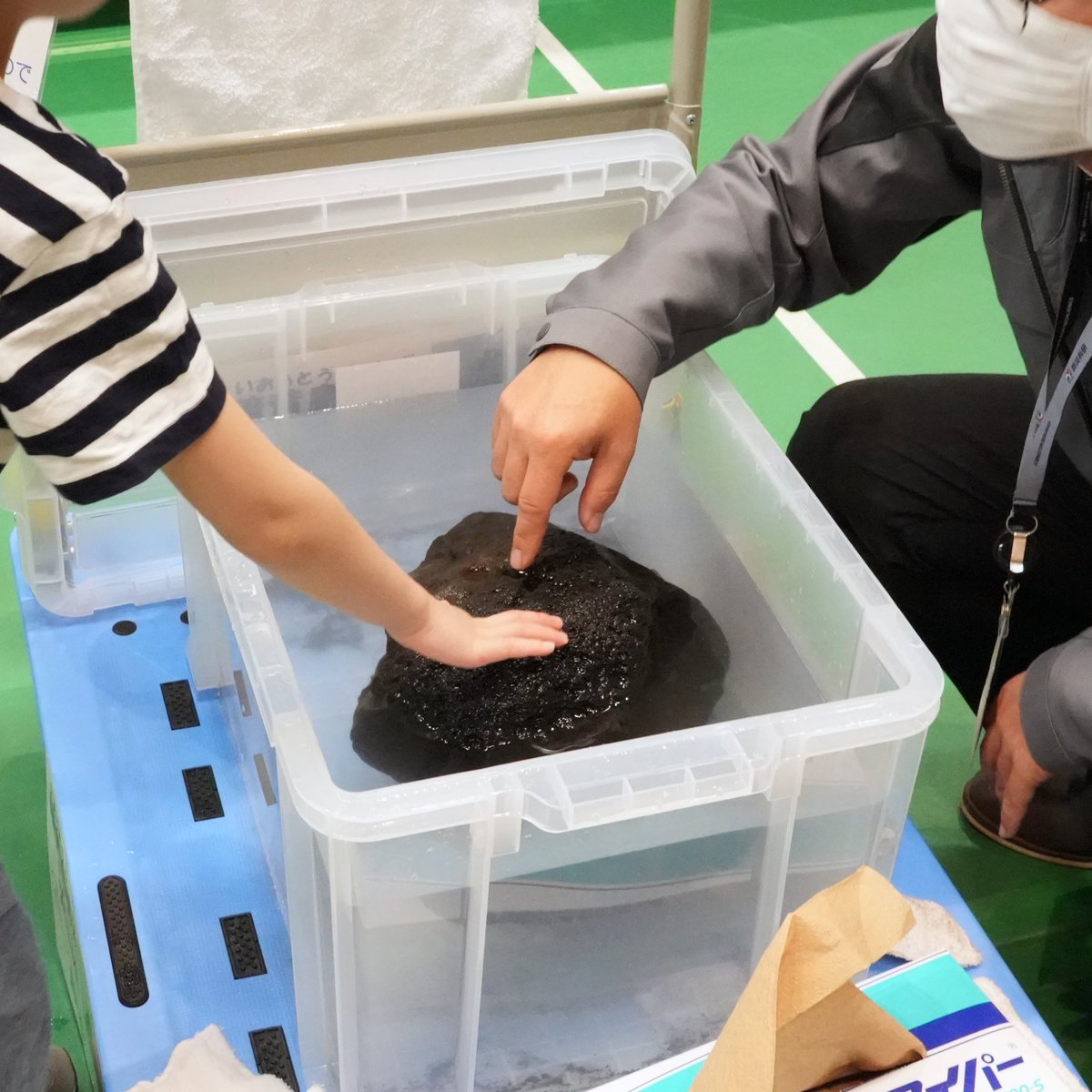 防災科研　一般公開 tweet media