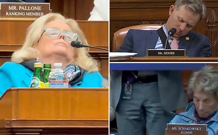 thewiselady22's tweet image. @thewiselady22 Rock-a-by-Baby-in-the-#Treetop! U 3 Dems R a #Flop! now fast #Asleep dreaming of Little-Bo-#Peep Your Democrat Congress hardly working. Americans DON'T pay Congress to sleep in their #Chair I find this mighty #Unfair Dock their $Pay this #Day or make them #GoAway!!