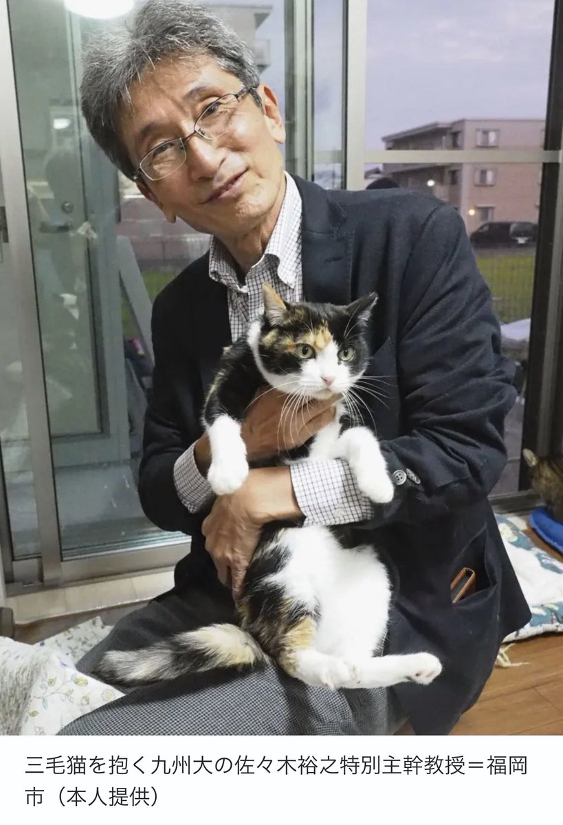 三毛猫の毛色遺伝子解明