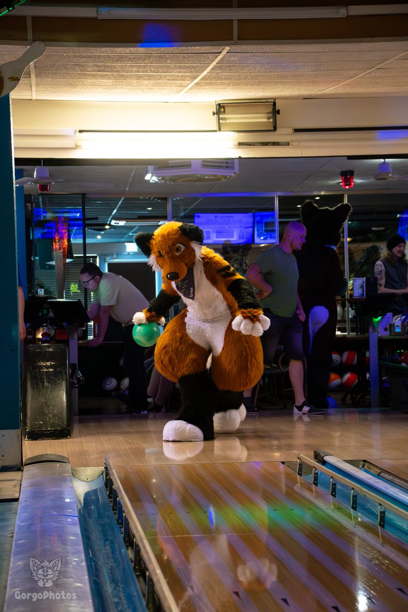 I wish for a strike Happy #fursuitfriday

Picture by: gorgothehusky (Instagram)