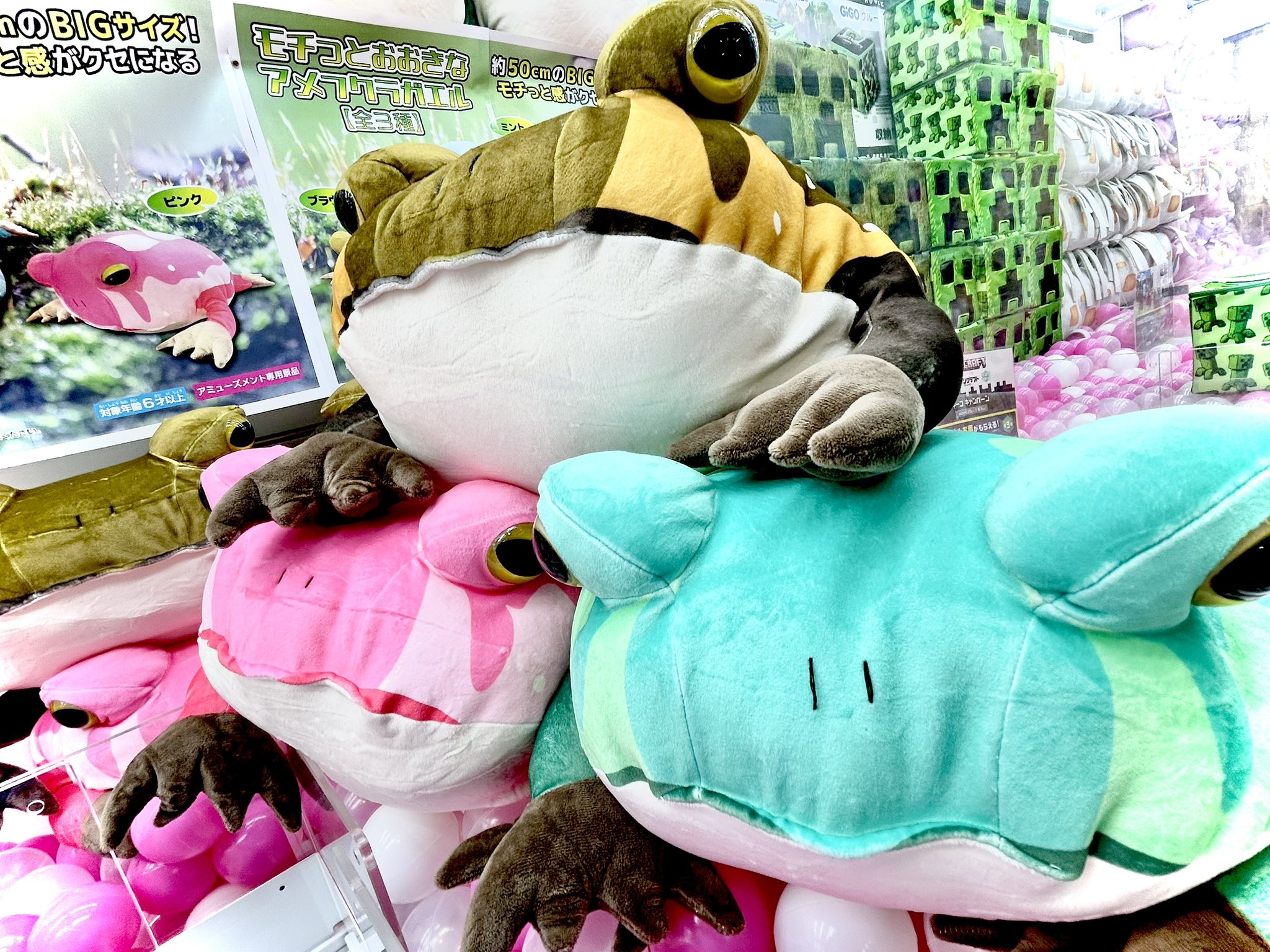 【特価】モチコとおおきなアメフクラカエル　ぬいぐるみ ミント ブラウン ピンク GIGO限定モチコとおおきなアメフクラカエルぬいぐるみミント