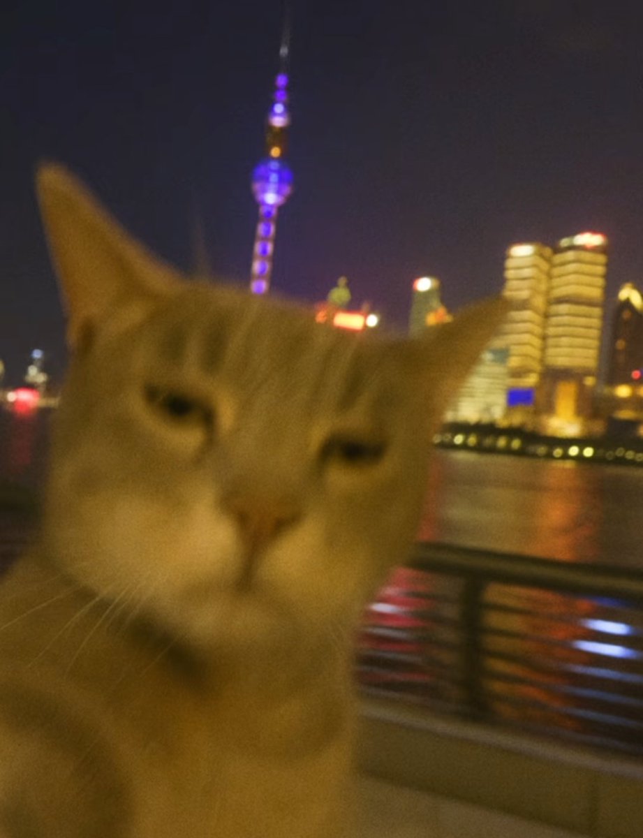 lanzhiqi07's tweet photo. 故地重游本就是刻舟求剑。 https://t.co/K3FmKhfwRN