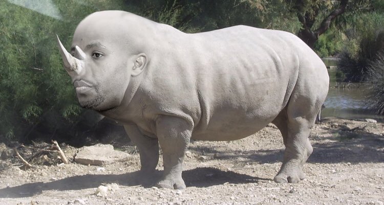 bowserito tweet media