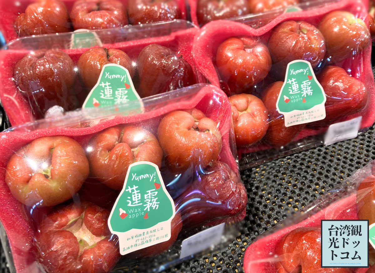 台湾で食べたいフルーツが蓮霧（レンブ）。シャリシャリとして食感が癖