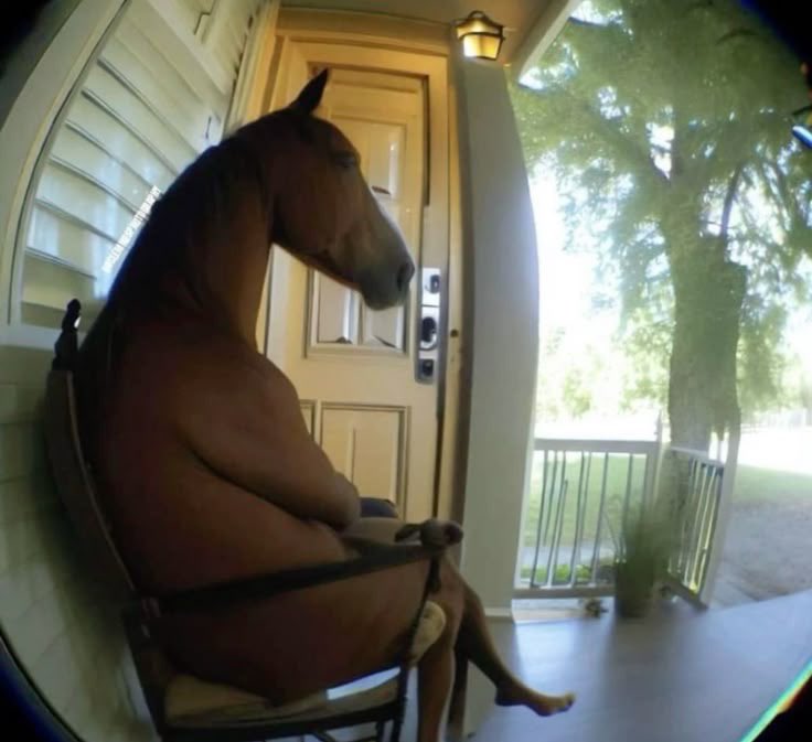 _yxxngles_'s tweet photo. the horse in front of big hit waiting for the paycheque for having 2 lines in rope it https://t.co/To2qrmKeHL