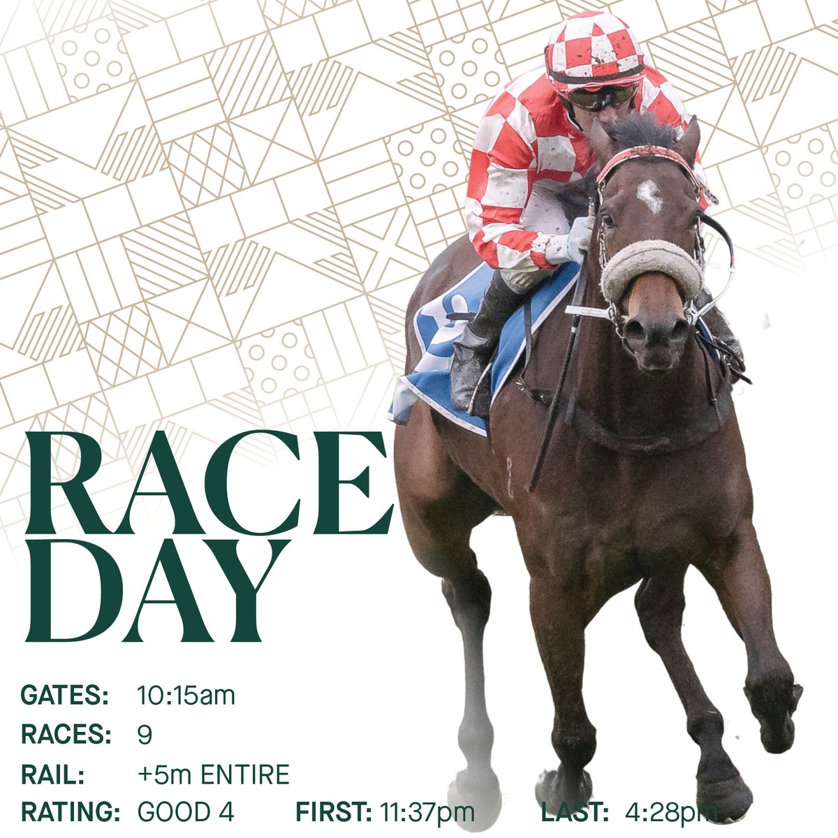 We're back to the Parks Track today with a 9️⃣ card to get stuck into!

Come in and set yourself up in the Adelaide Cup Room on Level 1 or Diva Bar for a day of racing action at Headquarters.