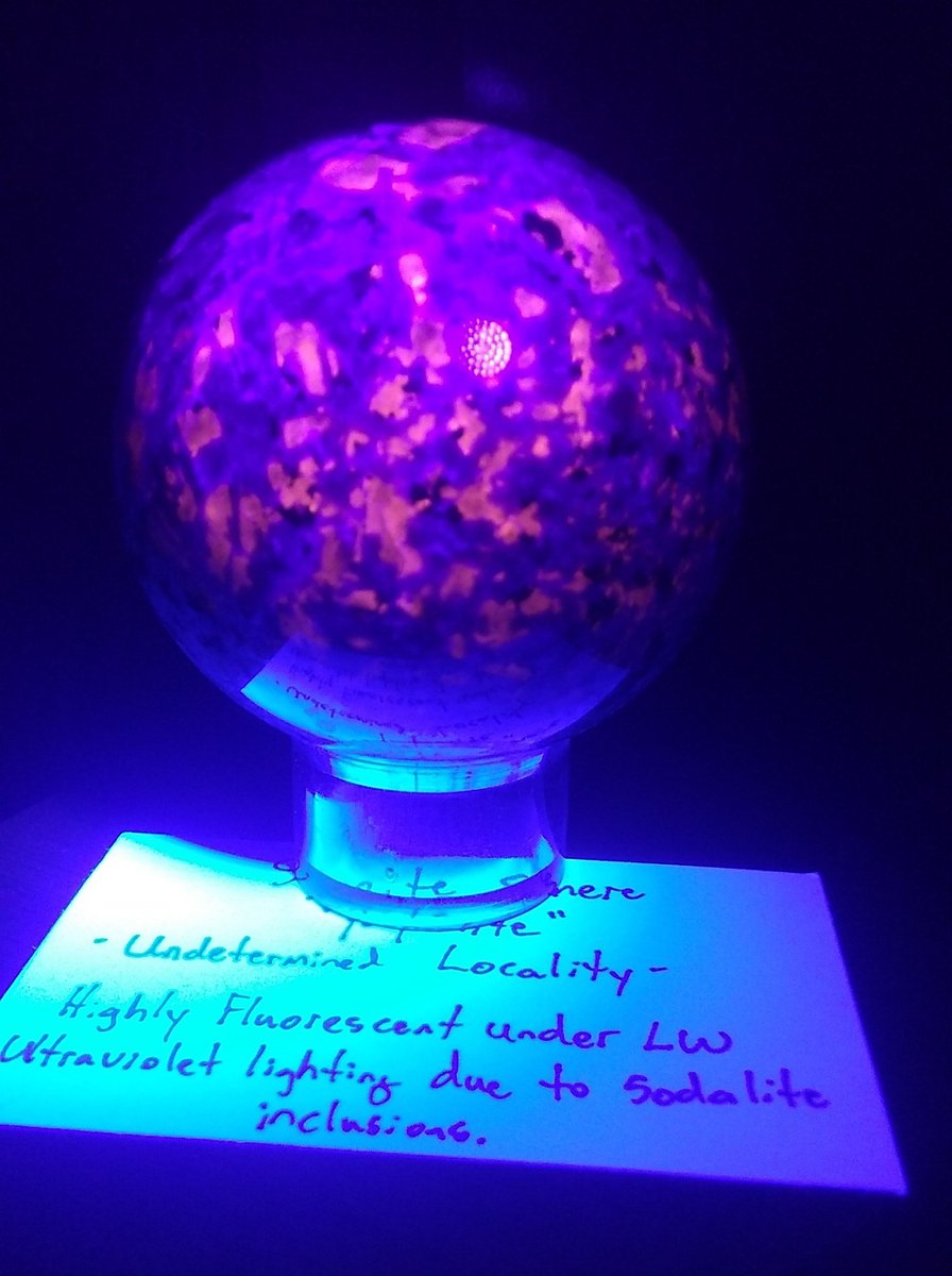 Tim Kai is~ tweet media