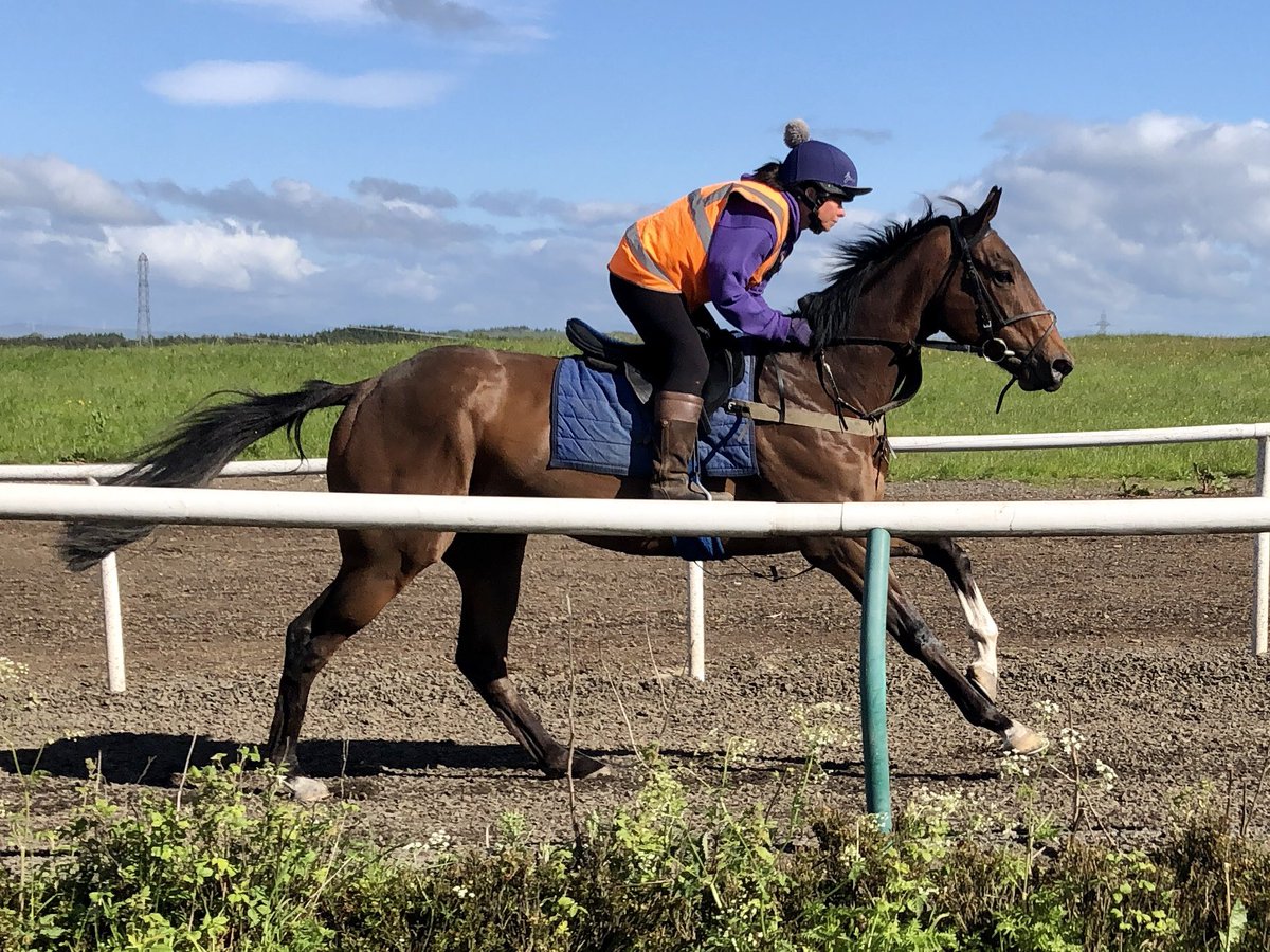 Jim Goldie Racing (@jimgoldieracing) on Twitter photo It’s a busy day for the team with 10 runners <a href="/HamiltonParkRC/">Hamilton Park</a> & 2 <a href="/yorkracecourse/">York Racecourse</a> including recent <a href="/ayrracecourse/">Ayr Racecourse</a> winner Yaaser, <a href="/WilliamBuickX/">William Buick</a> rides ! It’s a busy day for the team with 10 runners <a href="/HamiltonParkRC/">Hamilton Park</a> & 2 <a href="/yorkracecourse/">York Racecourse</a> including recent <a href="/ayrracecourse/">Ayr Racecourse</a> winner Yaaser, <a href="/WilliamBuickX/">William Buick</a> rides !