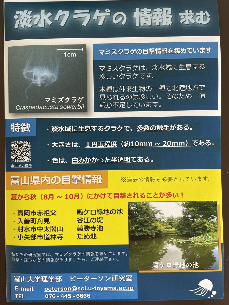 Miles Peterson tweet media