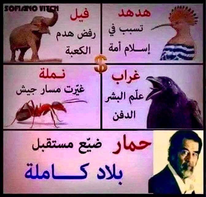 حسن الكعبي | H𝕒𝕤𝕤𝕒n A𝕝𝕜𝕒𝕒𝕓i (@hassanalkaaei) on Twitter photo 