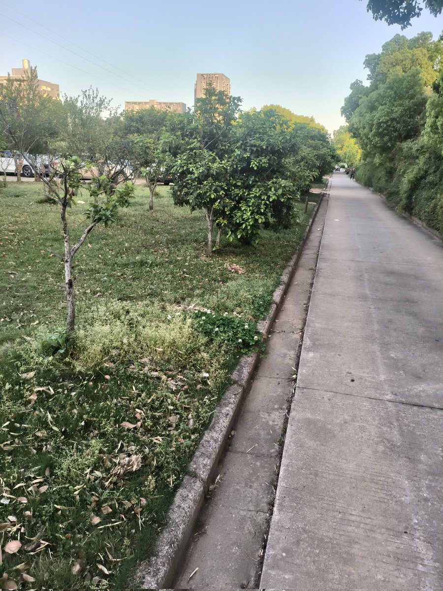 2970636108side's tweet photo. 铁丝被好心人拆了
里面真的是“人间天堂”
留意避开保洁爷爷，大开眼界的据点 https://t.co/p8rGrAsCew