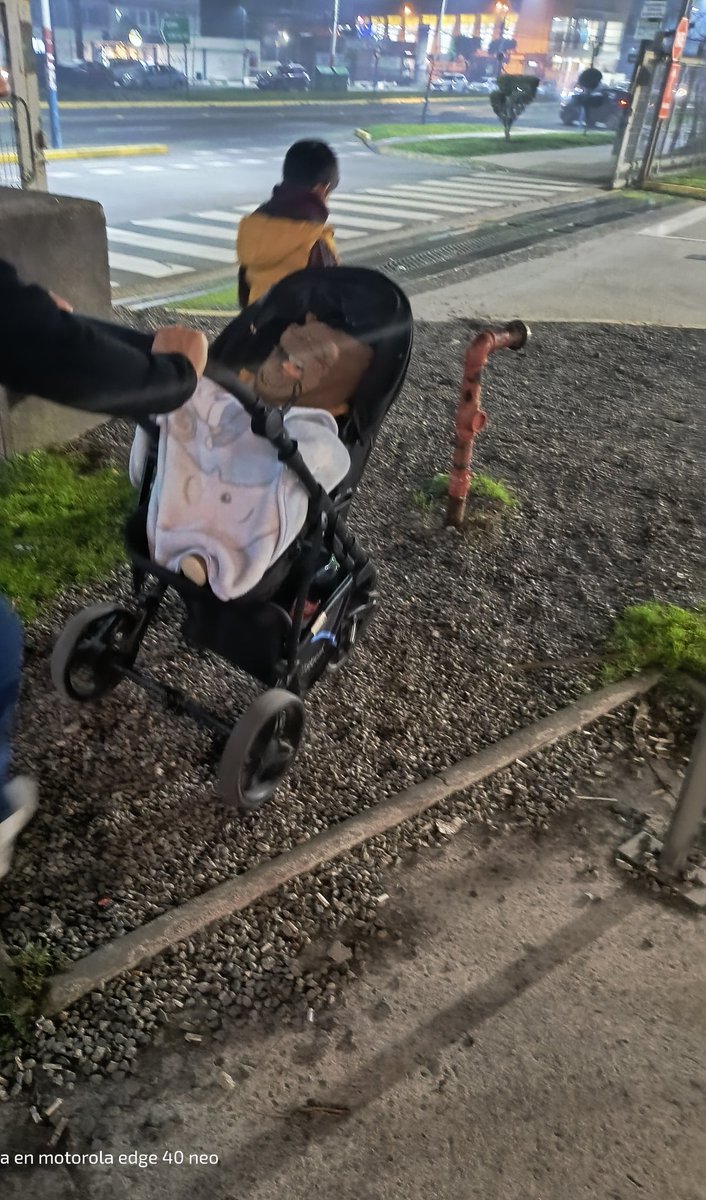 ariel olivares tweet media