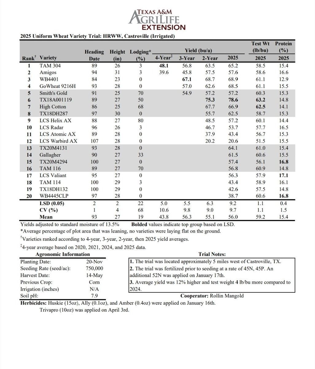 TAMU Small Grains Variety Testing Program tweet media