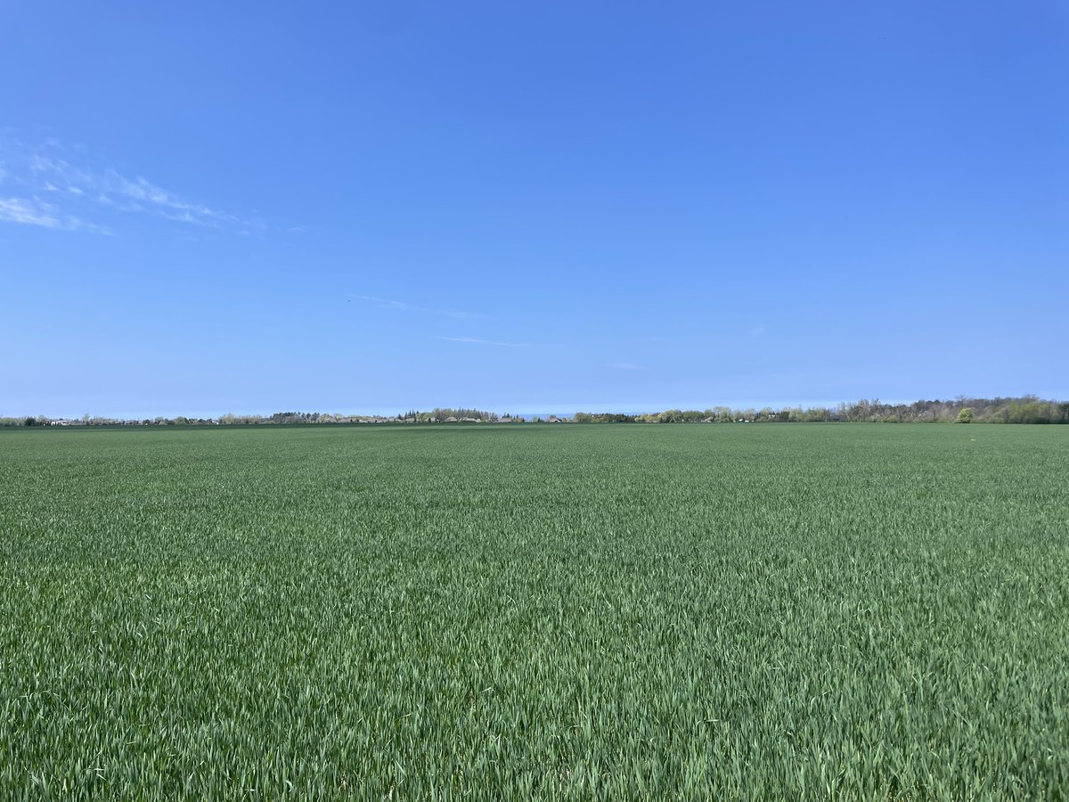 Danny Jefferies tweet media