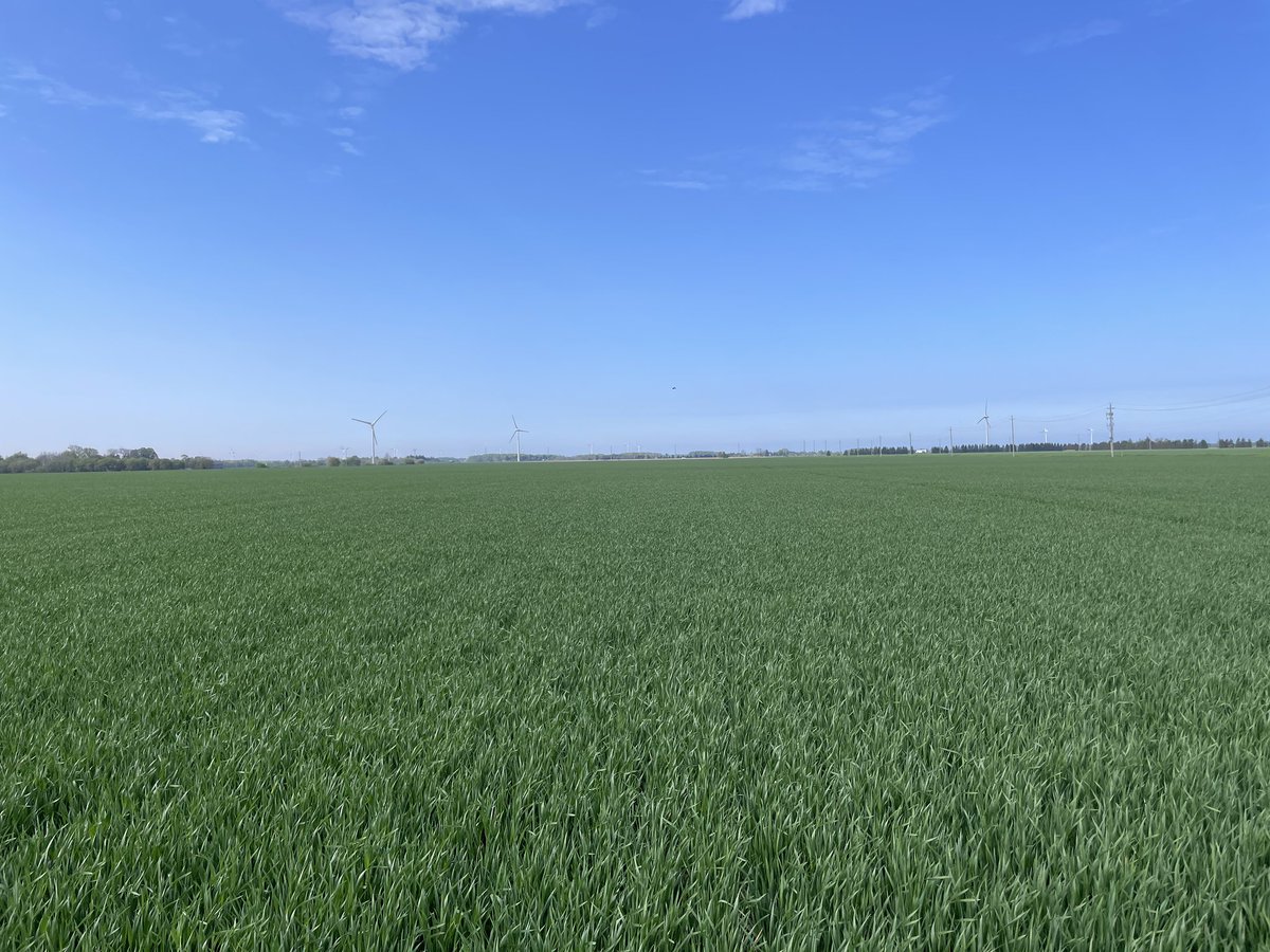 Danny Jefferies tweet media