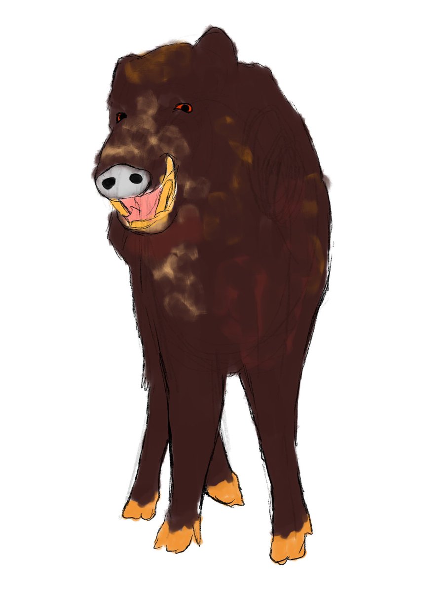 Galithour's tweet image. A ruffian boar 🐗 
#smallartist #sketchart