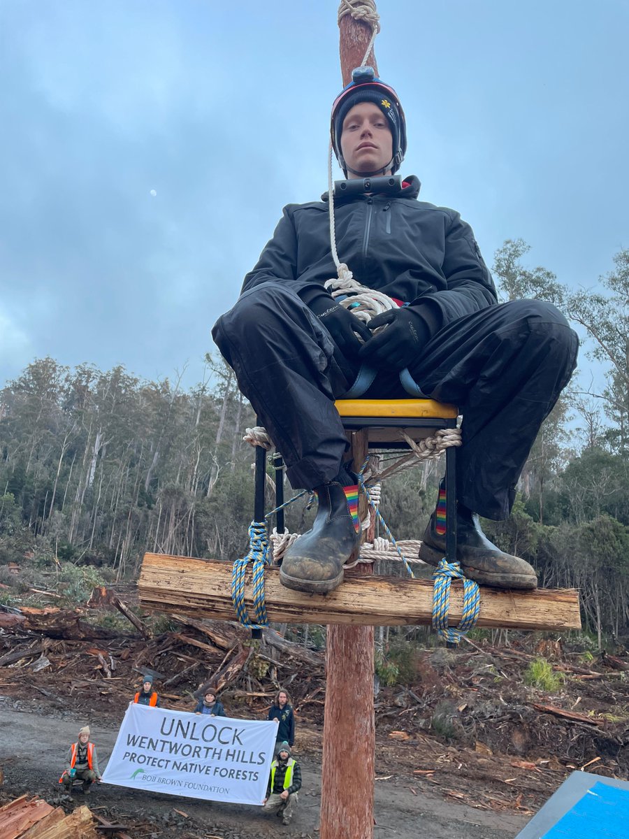 BobBrownFndn's tweet photo. 🚨BREAKING: Protesters have halted logging in two forests in Tasmania’s Central Highlands. Owen Fitzgerald, suspended above machinery, says: “Politics has failed us...I’m here not because I want to, but because I have to.” It’s time to end native forest logging. #politas https://t.co/Ahtn3hoWN3
