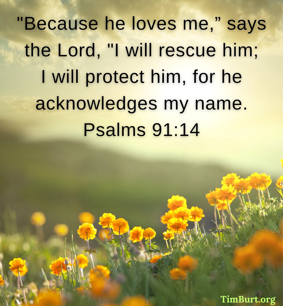 Timothy Burt (@timburt) on Twitter photo 